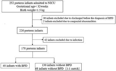 The Correlation Between Bronchopulmonary Dysplasia and Platelet Metabolism in Preterm Infants